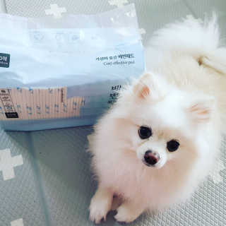 뽀뱅2님이 올린 리뷰 사진 2