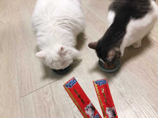 앨토리님이 올린 리뷰 사진 2