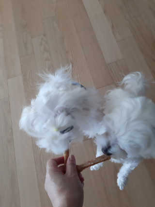 꿍님이 올린 리뷰 사진 3