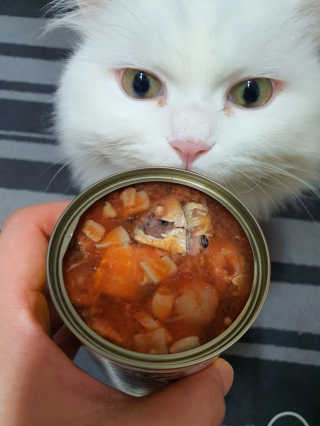 Woo7C님이 올린 리뷰 사진 1