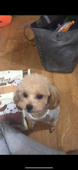 은희꿍님이 올린 리뷰 사진 3