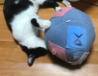 요이알라뷰님이 올린 리뷰 사진 1