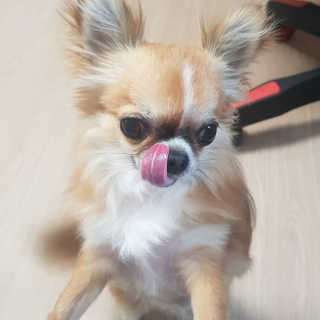 가원님이 올린 리뷰 사진 3