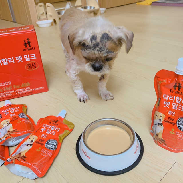 닥터할리 펫밀크 홍삼 5ea 리뷰 사진