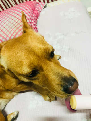 아름한님이 올린 리뷰 사진 1