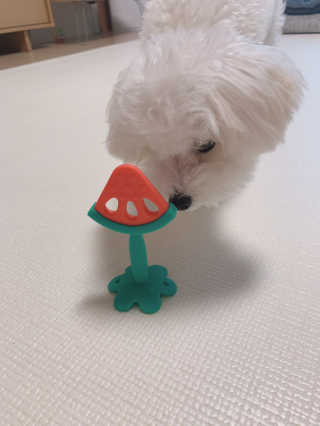 Ella님이 올린 리뷰 사진 3