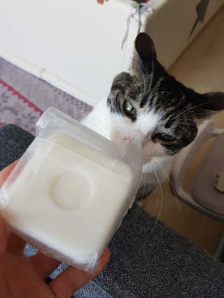 시아마마님이 올린 리뷰 사진 2