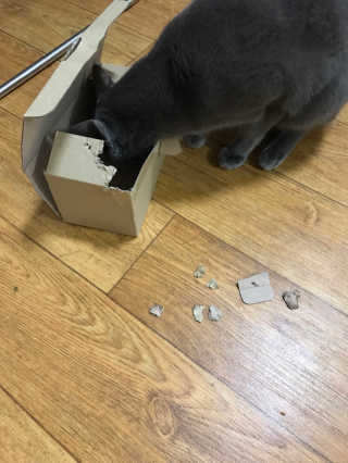 서근님이 올린 리뷰 사진 2