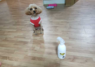 B님이 올린 리뷰 사진 1