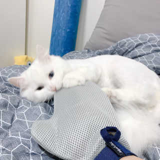 공실이님이 올린 리뷰 사진 4