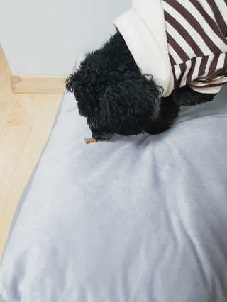 응지니님이 올린 리뷰 사진 3
