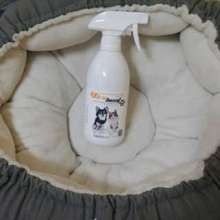 지수님이 올린 리뷰 사진 1