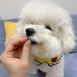아시안님이 올린 리뷰 사진 3