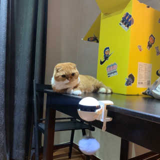 모델윤지님이 올린 리뷰 사진 1