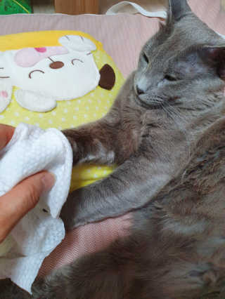 효성님이 올린 리뷰 사진 2