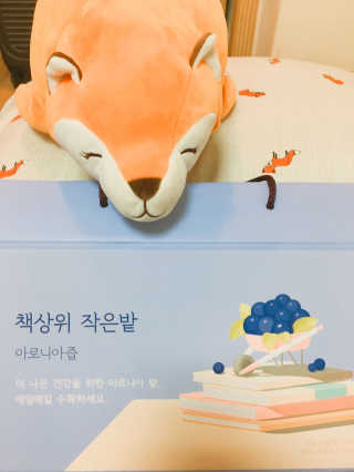 개봉박두님이 올린 리뷰 사진 2