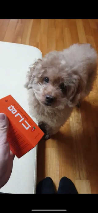 조이님이 올린 리뷰 사진 2