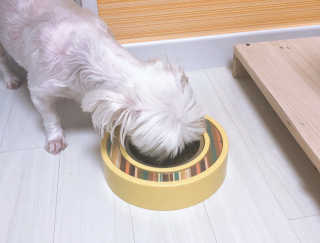BIN님이 올린 리뷰 사진 2