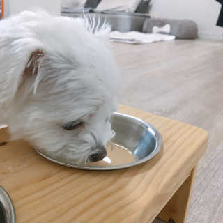 마카롱님이 올린 리뷰 사진 3
