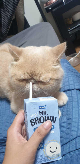 망나니집사님이 올린 리뷰 사진 1