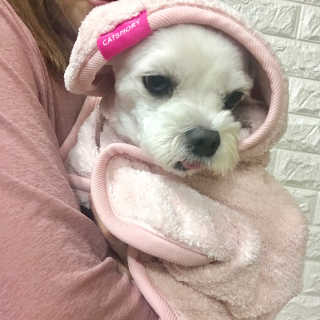 locojeong님이 올린 리뷰 사진 2