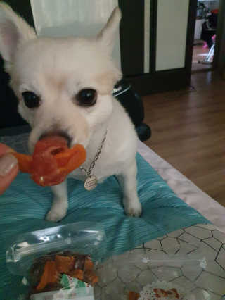 임예슬님이 올린 리뷰 사진 2