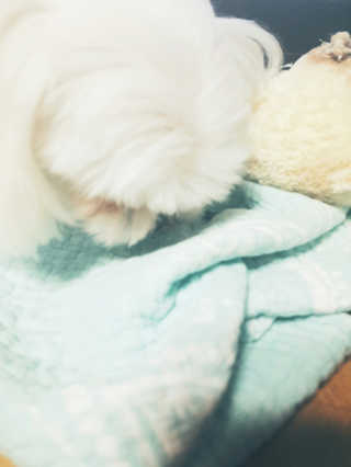 뜌빈님이 올린 리뷰 사진 2