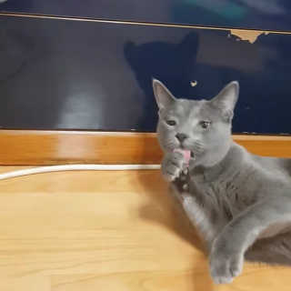 OksT님이 올린 리뷰 사진 3