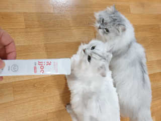 바다의해님이 올린 리뷰 사진 1