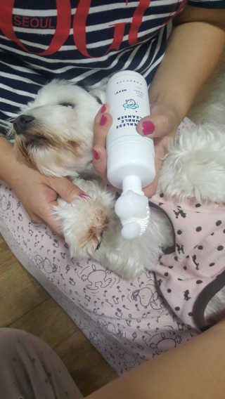 배보현님이 올린 리뷰 사진 3