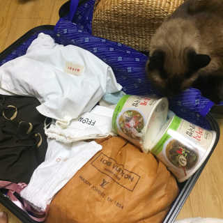 최혜정님이 올린 리뷰 사진 2