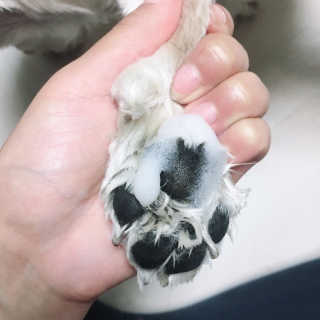 뽀니님이 올린 리뷰 사진 3