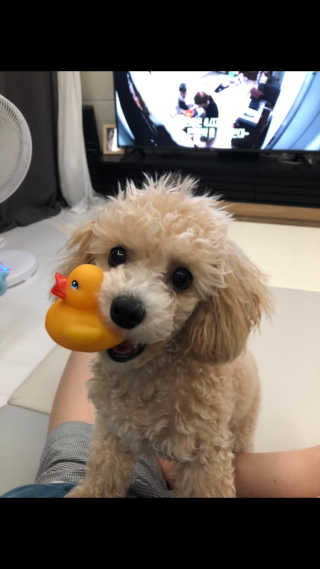 모모님이 올린 리뷰 사진 3
