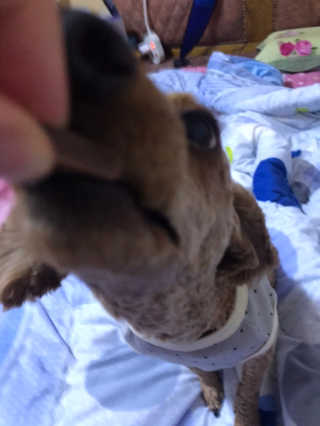 아해님이 올린 리뷰 사진 2