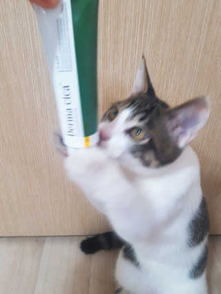 은지은지은지은지님이 올린 리뷰 사진 1
