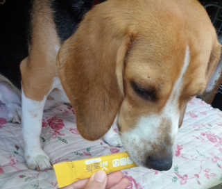 beaglelove님이 올린 리뷰 사진 3