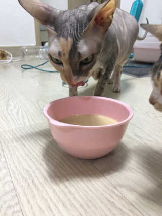 이아님이 올린 리뷰 사진 4