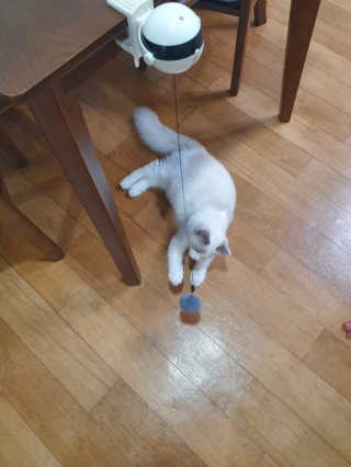 딸랑구둘🥰님이 올린 리뷰 사진 2