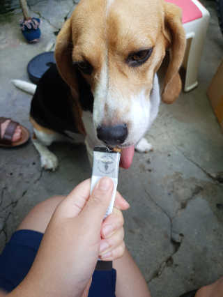 beaglelove님이 올린 리뷰 사진 3