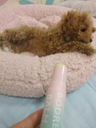 포이로이님이 올린 리뷰 사진 3