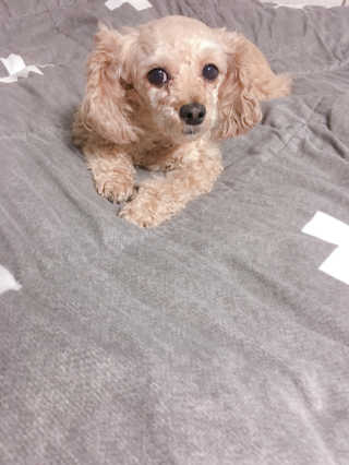 랑이님이 올린 리뷰 사진 4