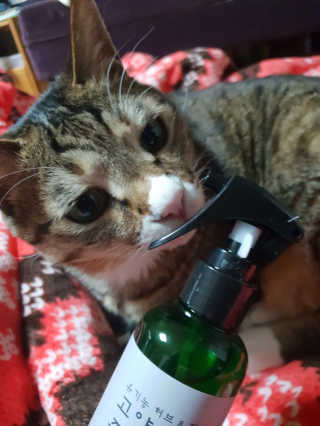 mmihaa님이 올린 리뷰 사진 2