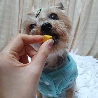 솜희님이 올린 리뷰 사진 3