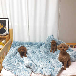 seni님이 올린 리뷰 사진 3