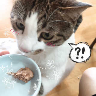 노링이님이 올린 리뷰 사진 2