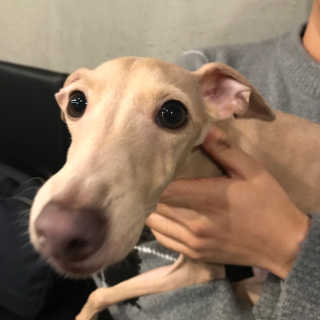 토랭이님이 올린 리뷰 사진 3