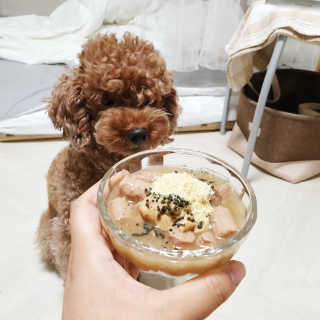 [펫토리아]오스트리아산 강아지 대용량주식캔 빌리 — 5점을 준 리뷰어가 2019년 8월 올린 사용 사진