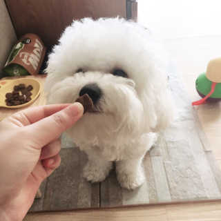 sooing님이 올린 리뷰 사진 2