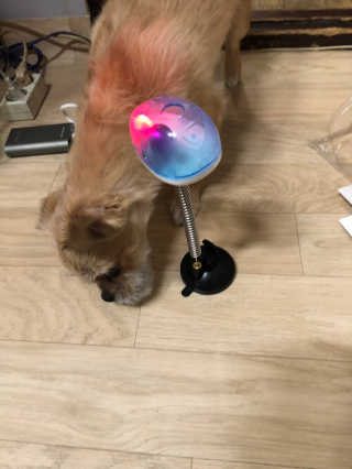 조원화님이 올린 리뷰 사진 1
