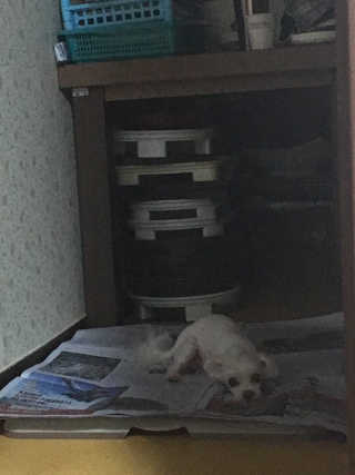 뚜니님이 올린 리뷰 사진 2